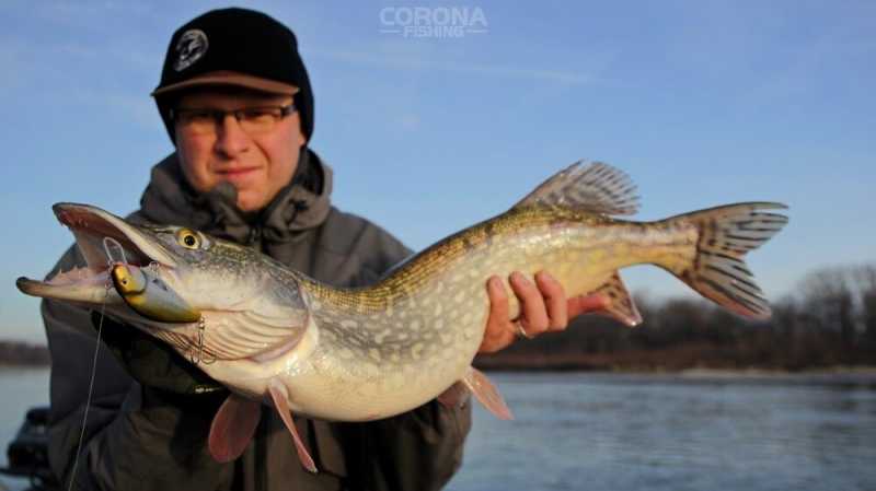 Czapki wędkarskie, czapki St.Croix - Corona-Fishing