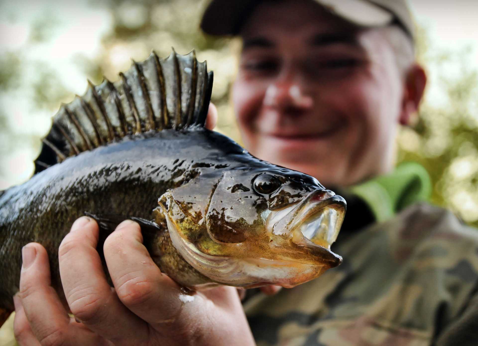 Największe smużaki - Corona-Fishing